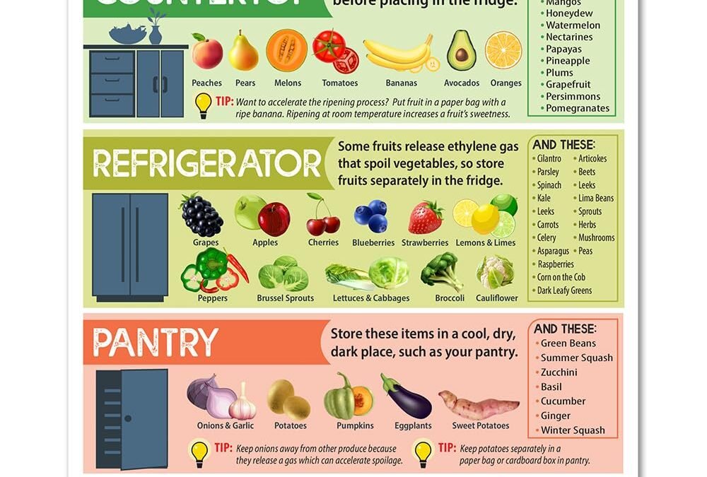 Wholesale How To Properly Store Vegetables and Fruit Magnets – Kitchen Cheat Sheet Magnet – Fruit and Vegetable Magnets for Fridge – 6″x8″ Helpful Magnetic Cheat Sheet – Chart for Storing Produce Factory & Supplier OEM