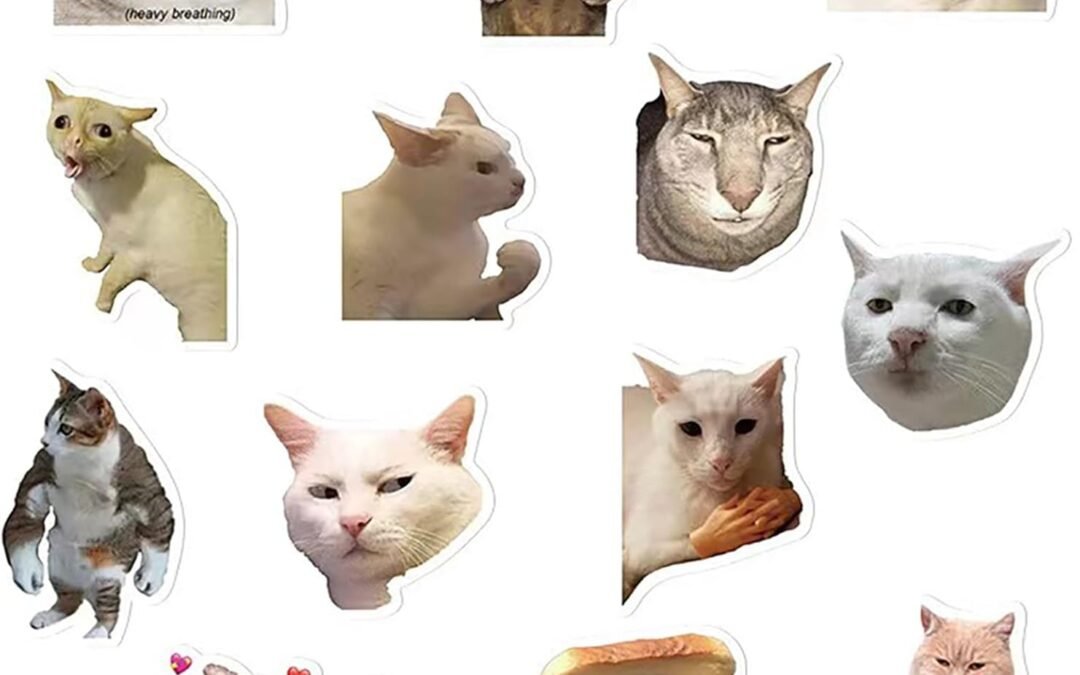 Wholesale Lovely Funny Fridge Magnets Cat Meme Fasteners on Home& Kitchen; Applicable on Refrigerator, Car, Office Cabinets, Dishwasher and Whiteboard The Most Interesting Birthday Gift (13 Pieces) Factory & Supplier OEM