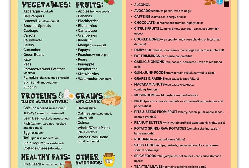Wholesale Magnetic 8.5×11 Safe and Toxic Foods for Dogs Magnet – Pet Safety Chart and Canine Nutrition Guide, Waterproof & Humidity- (Pack of 1) Factory & Supplier OEM