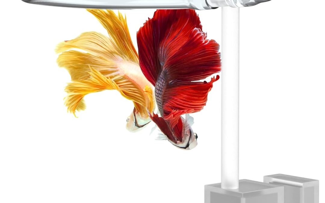 Wholesale Magnetic Invisible Feeding Ring (Customizable and Auto-Leveling) Food Portal for Floating Plant Aquariums and Fish Tanks (Two-Pack) Factory & Supplier OEM
