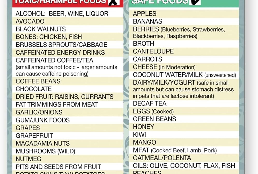Magnetic List Toxic Safe Harmful Foods for Pets - Dog Cat Feeding Chart - People Food Dogs Cats Should Not Eat - Chart Decorative Magnets - Pet Safety - Pet Adoption Essentials Gift 5.5 x 8.5 inches