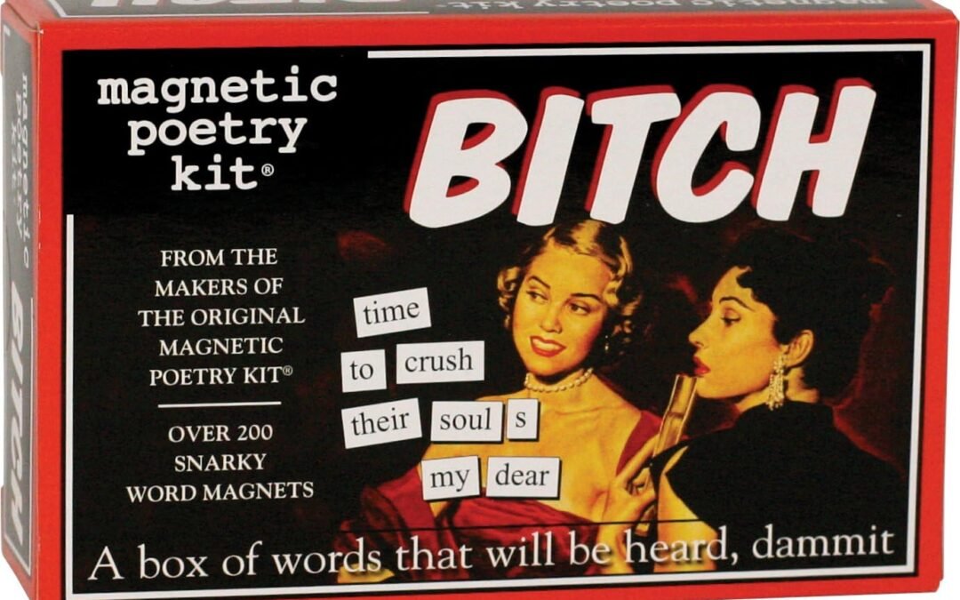 Wholesale Magnetic Poetry – Bitch Kit – Words for Refrigerator – Write Poems and Letters on The Fridge – Made in The USA Factory & Supplier OEM