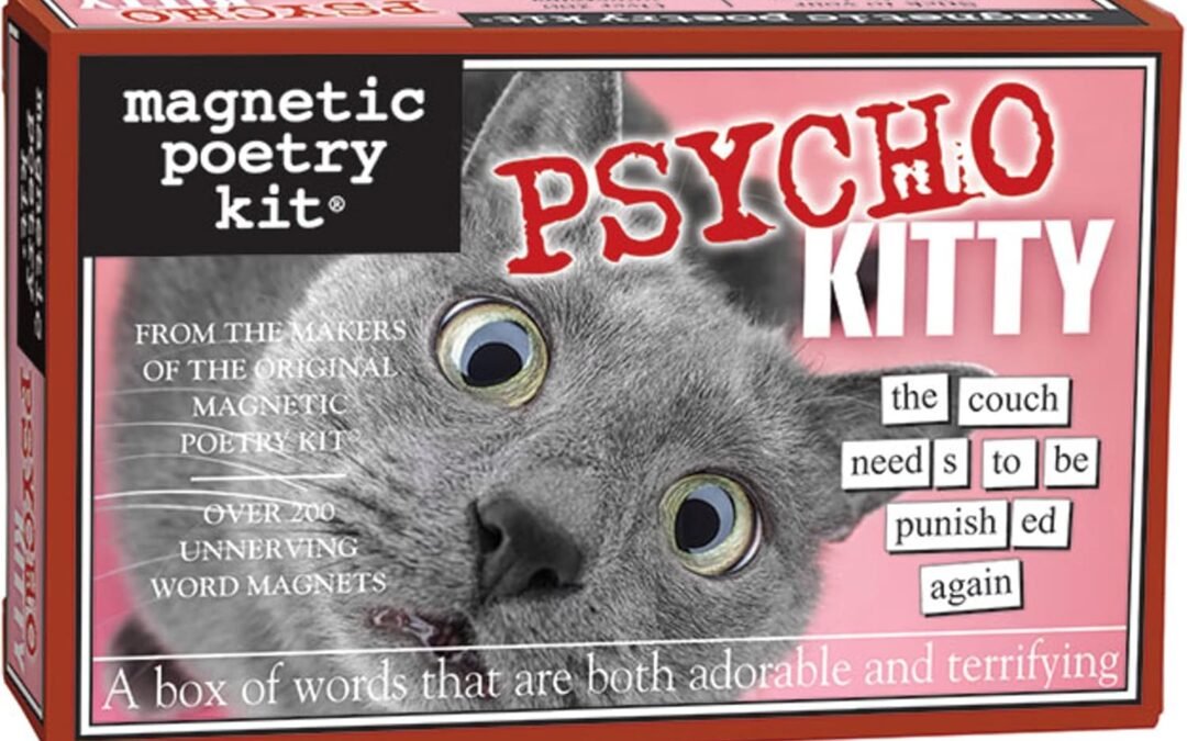 Wholesale Magnetic Poetry Psycho Kitty Magnetic Word Kit Factory & Supplier OEM