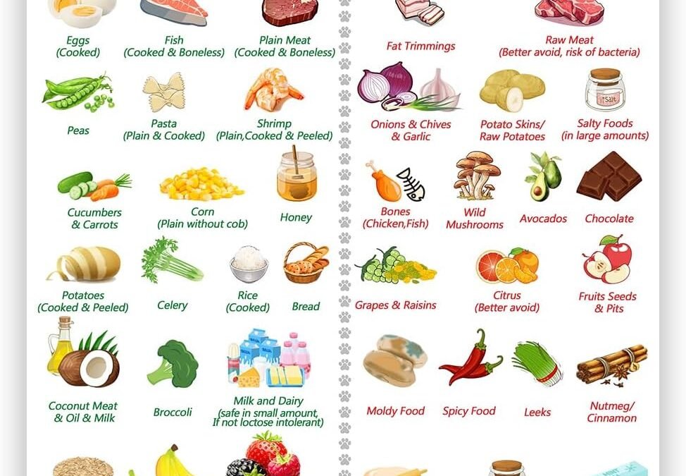 Wholesale Magnetic Safe Foods Guide for Dogs and Cats,Dog Feeding Chart Fridge Magnet,Foods Dogs Shouldnt Eat Chart Decorative Magnets,Dog Safety Emergency Numbers Magnet-11.8″ x 7.8″ Factory & Supplier OEM