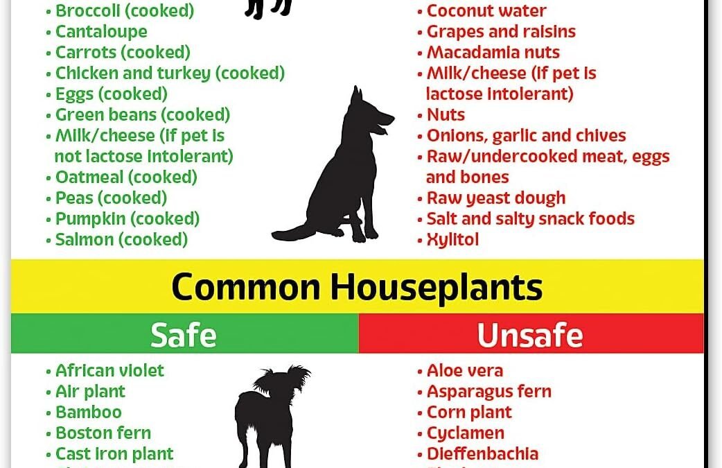 Wholesale Safe and Toxic Foods and Plants for Dogs and Cats Fridge Magnet — 5″ x 7″ — by Safety Magnets Factory & Supplier OEM