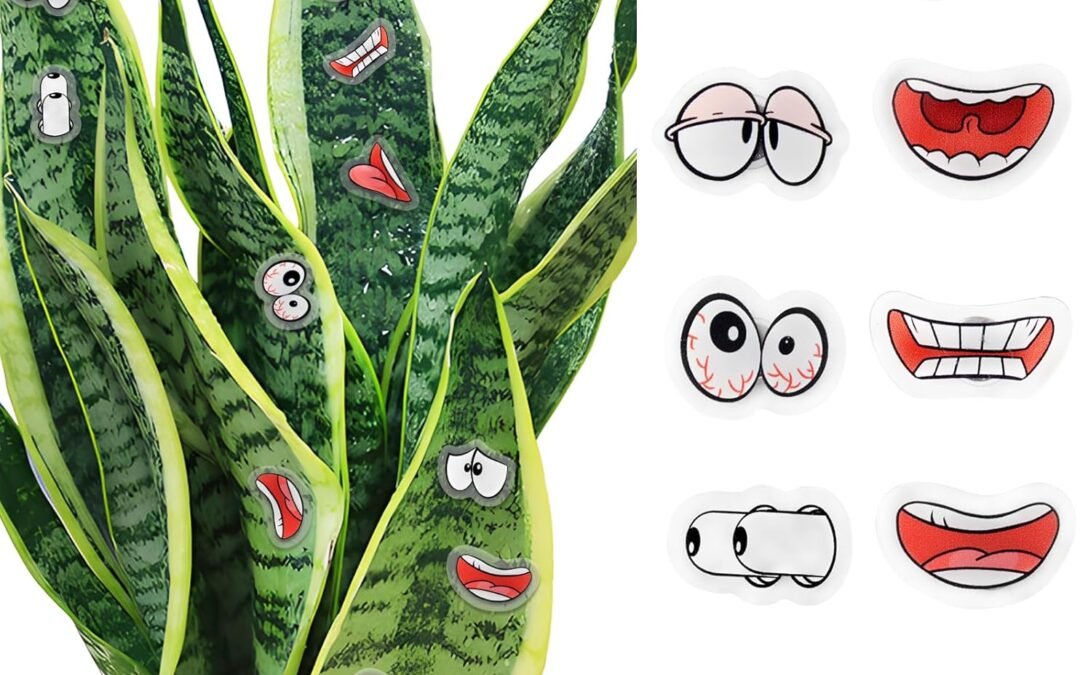 Wholesale TBWHL Magnets Eyes Mouth for Potted Plants, 10 pcs Monster Magnet Eyes and Mouth, Funny Fridge Magnets for whiteboard, Office, Kitchen, Indoor Outdoor Plant Accessories Factory & Supplier OEM