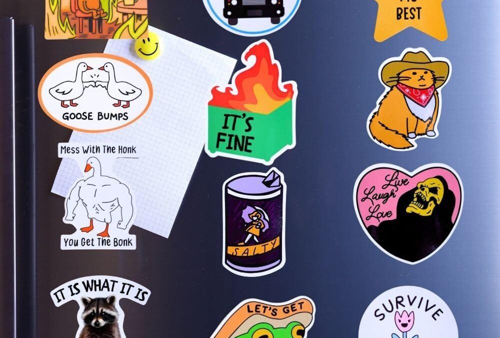 Wholesale YJ PREMIUMS 12PC Funny Fridge Magnets Cute Fun Sassy Quirky Novelty Magnet for Adults Car Desk Kitchen Meme This is Fine Dumpster Dog Live Laugh Love Howdy Silly Goose Bumps Raccoon Accessories Gifts Factory & Supplier OEM