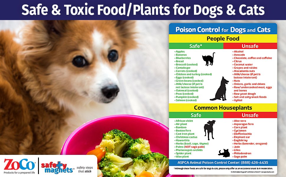 wholesale safe and toxic foods and plants for dogs and cats fridge magnet — 5