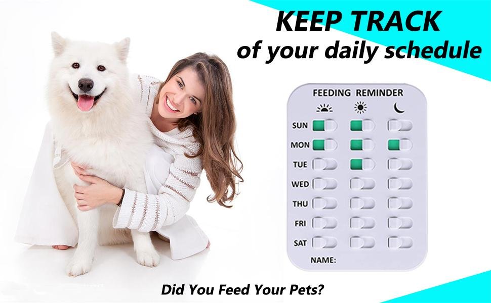 wholesale pet feeding reminder for dogs cats - magnetic sticker 3 times a day indication chart feed your pets, magnets and double sided tape, did you feed your dog cat fish kid? factory & supplier oem