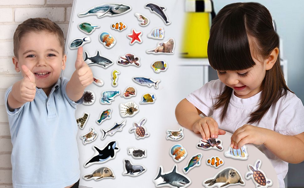 wholesale fridge magnets for toddlers - 30 sea photo kids magnets for fridge - toddler magnets for refrigerator - magnetic animals - fridge magnets for kids - animal magnets - toddler fridge magnets factory & supplier oem