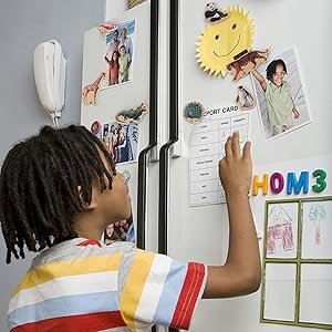 wholesale refrigerator magnets for kids - zoo animal fridge magnets for toddlers - wooden magnetic toys for baby kids' developmental learning factory & supplier oem